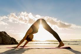 Downward Dog, Yoga, Flexibility, Strength, Circulation, Relaxation, Downward Dog, Yoga, Flexibility, Strength, Circulation, Relaxation,