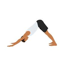 Man Practicing Adho Mukha Svanasana (Downward-Facing Dog Pose) Yoga Illustration of a man performing Adho Mukha Svanasana (Downward-Facing Dog Pose) in yoga