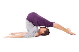 Woman Practicing Halasana (Plow Pose) Yoga Woman performing Halasana (Plow Pose) yoga