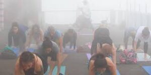 How to Choose the Best Yoga Teacher Training in India How to Choose the Best Yoga Teacher Training in India