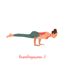 One-Legged Arm Balance Yoga Pose Advanced Yoga Poses by practitioner