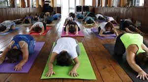 How to Choose the Best Yoga Teacher Training in India How to Choose the Best Yoga Teacher Training in India