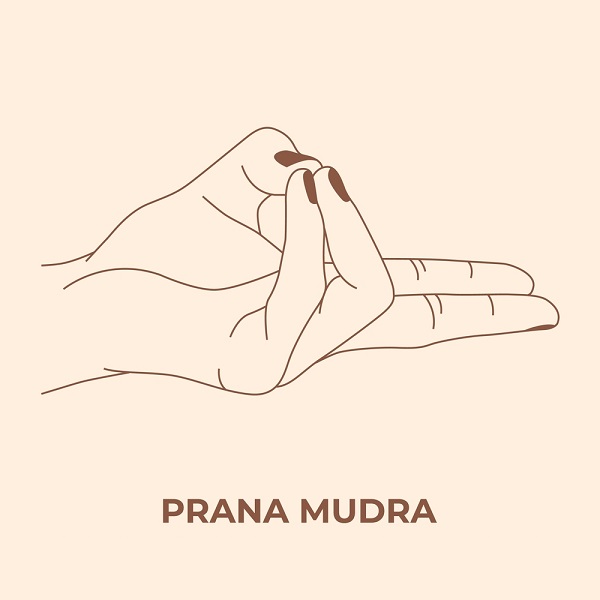 Prana Mudra