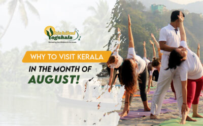 Why Should You Visit Kerala in the Month of August?