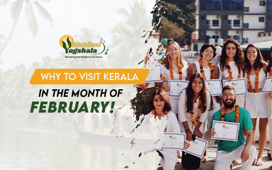 Why Should You Visit Kerala in the Month of February?