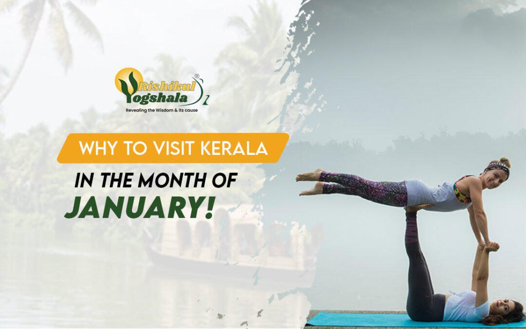 Why You Should Visit Kerala in January: A Comprehensive Guide