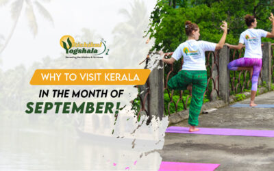Why Should You Visit Kerala in the Month of September?