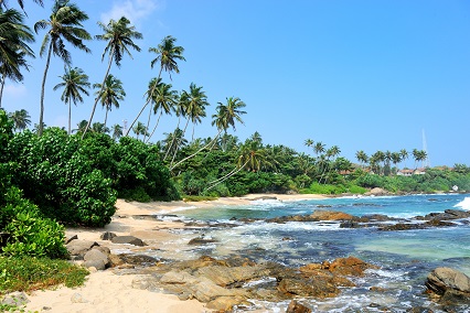  Visit Goa in the Month of August