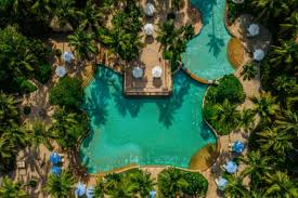 Swimming Pool in Goa with Palm Trees and Clear Blue Water Swimming Pool in Goa with Palm Trees and Clear Blue Water