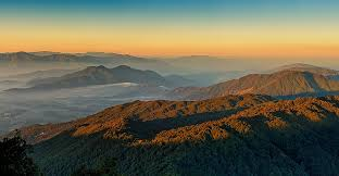 Floral Flourish in the Kathmandu Valley – A Blooming Paradise of Colors and Scents Floral Flourish in the Kathmandu Valley – A Blooming Paradise of Colors and Scents