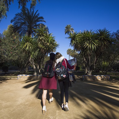 Visit Goa in February