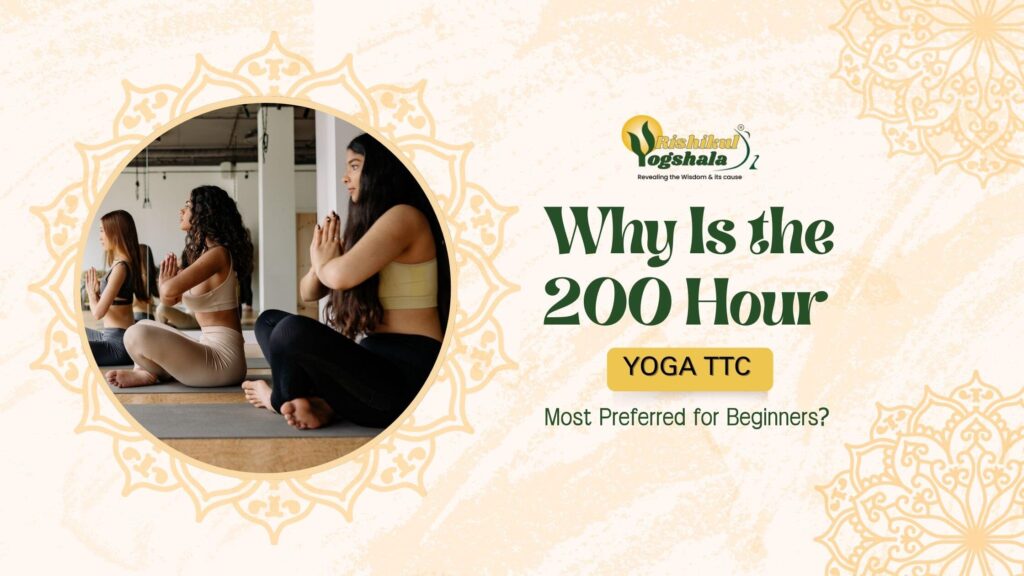 Why Is the 200 Hour Yoga TTC the Best Choice for Beginners?