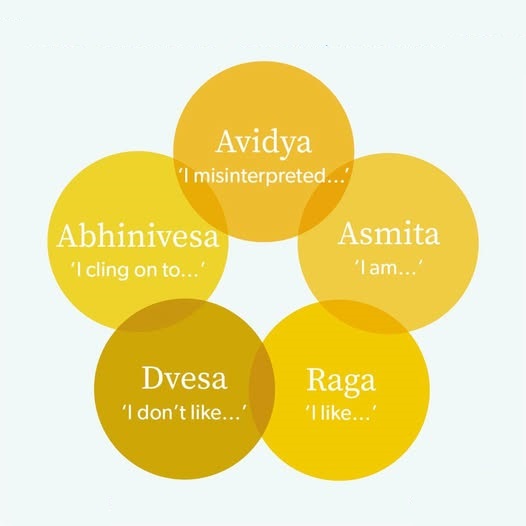 5 Type of Kleshas in Yoga 5 Type of Kleshas in Yoga