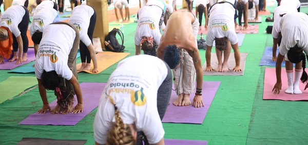 Student Practising During 200 Hour Yoga Teacher Training Course at Rishikul Yogshala in Kerala