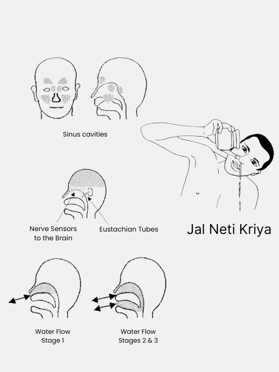 Jal Neti Kriya Jal Neti Kriya
